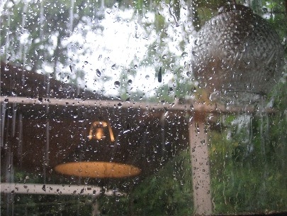 Mexico's rainy season is finally here