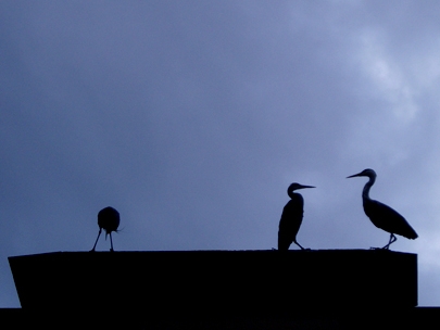 Welcome! And don t mind her: she s puking