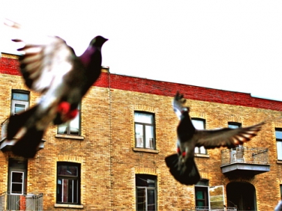 a waltz over a city street