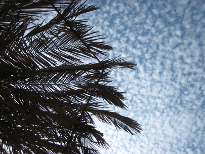 my view from the hamaca...