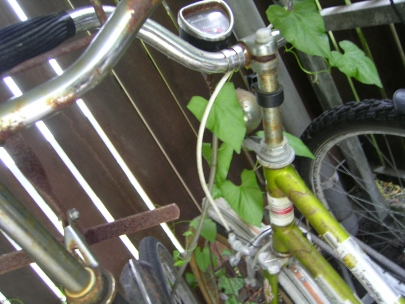 Vicky is becoming a plant