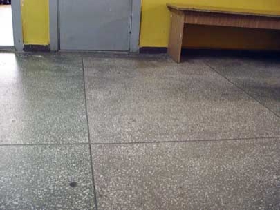 the most frustrating place in the world