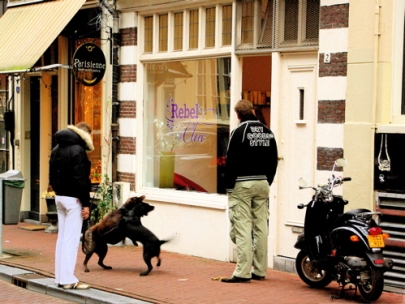 apparently it's dog eat dog in amsterdam