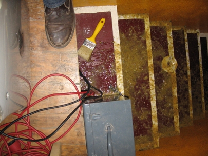 that�s �erwtensoep�