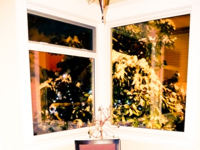 it was a sushi xmas (main st, vancouver)