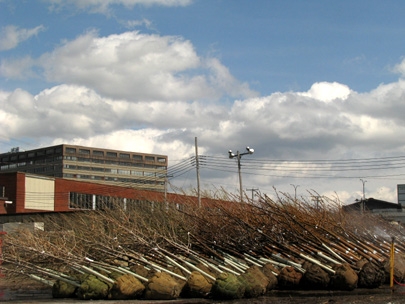 distance from the rail lines.