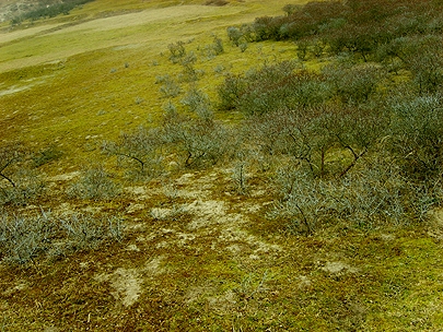 nothing beats nature