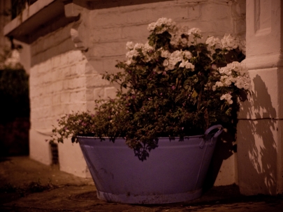 peter fraser, take 3 (stoke newington)