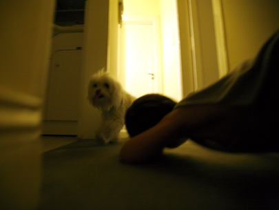 manu manu in martinez