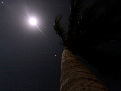 blue moon on the rise