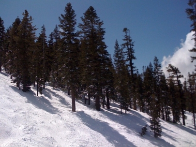 Taking Conference Calls Form The Chair Lift 