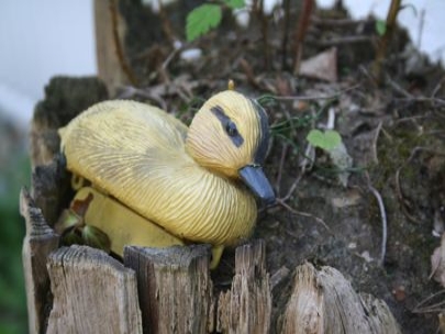 A conversation about rubber duckies