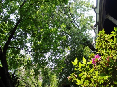 Wonderful afternoon with Marichu at Franz Mayer Museum