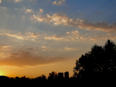 My favourite hour of the day