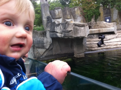 loves the splishingsplashing sound they make