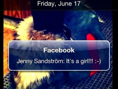 It is a girl, it JoJo!!! Congrats, Jenny!