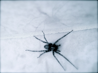 Today's bathroom visitor
