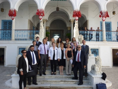 with the venice commission in Tunis 