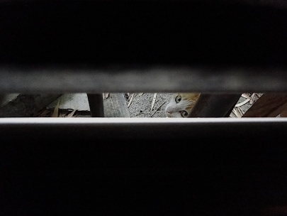 What at you looking at?