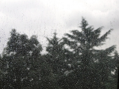 At this time of the year it rains...