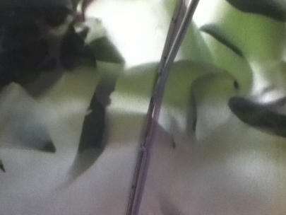 remember what it was like to be in school? how interesting it was!