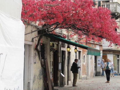 Venice, sun and colours