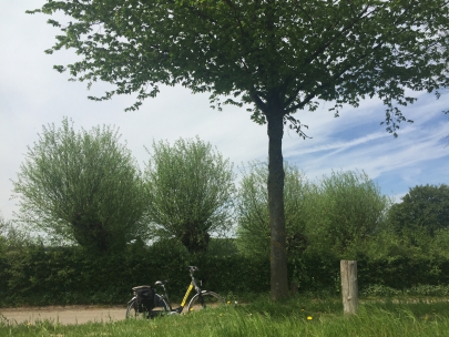 biking through the hills