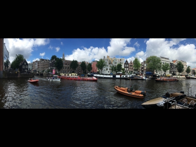 The Hitman's Bodyguard