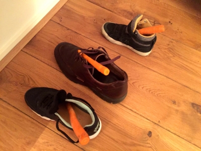 carrot and imaginary horses