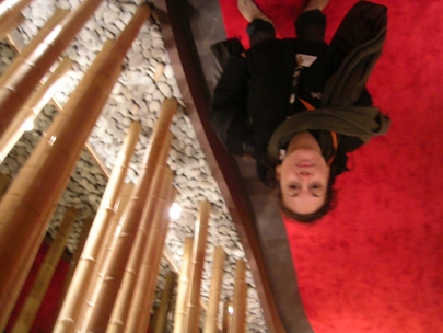 the enchanted forest