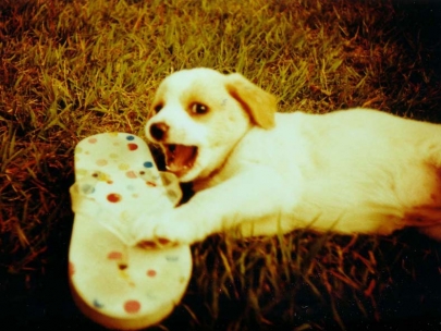 Paly with me, bored bored bored