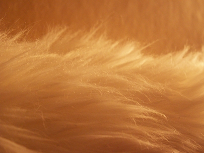 Sweet dreams are made of this