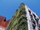 vertical gardens